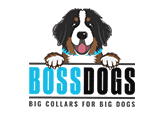 Invictus Studio Sample Logo